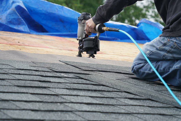 Best Metal Roofing Contractor  in Lemont, IL